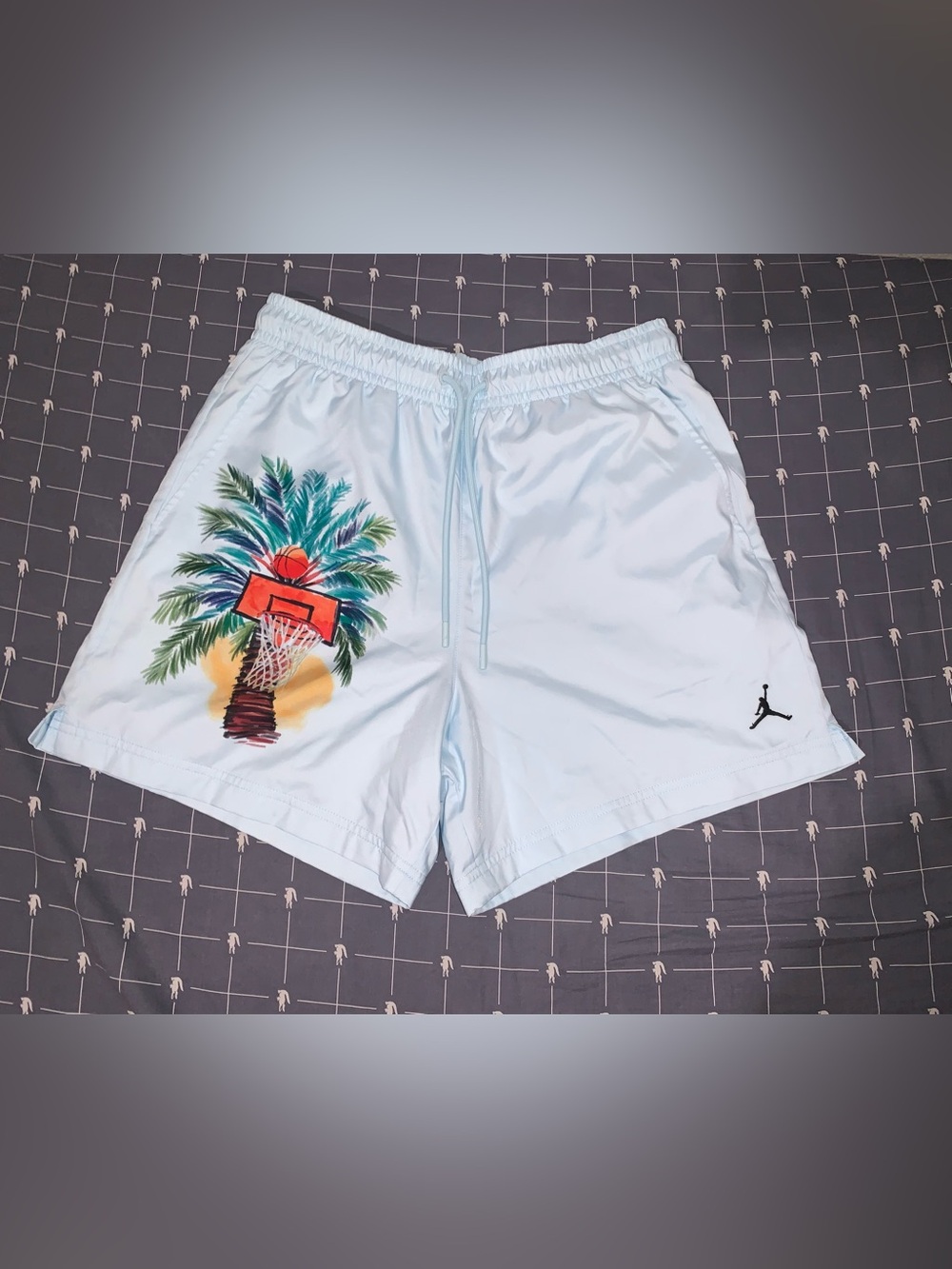 Nike Jordan Essentials Woven Graphic Shorts Light Blue IB7276-474 Size: Medium